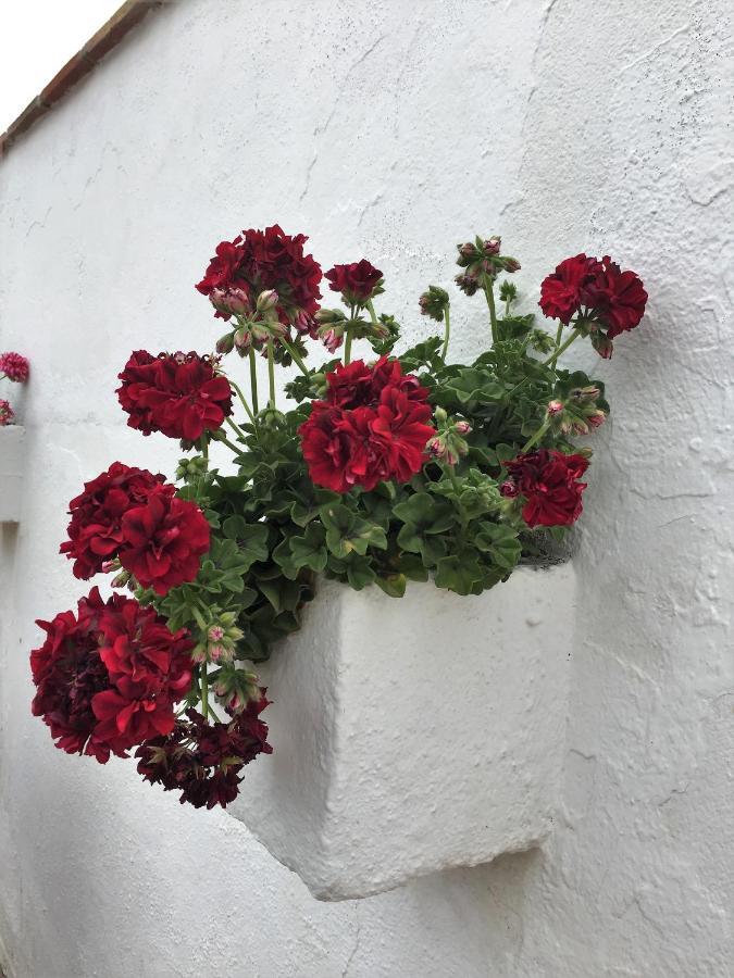 Casa Las Torres B&B Iznate Εξωτερικό φωτογραφία